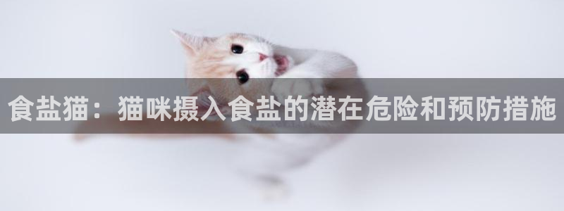 威九国际78m九妹