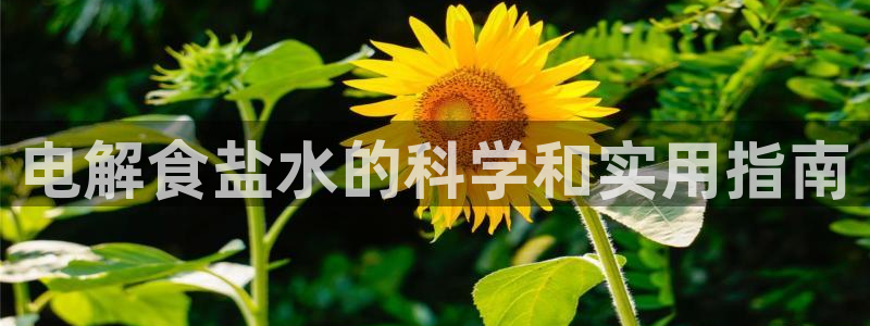 威九国际网站在哪里