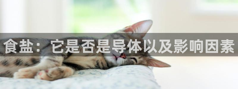 威九国际网站入口地址查询