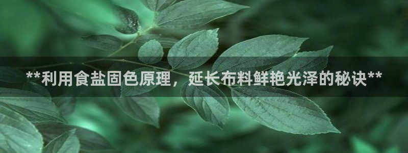 威九国际v96242cc官网版