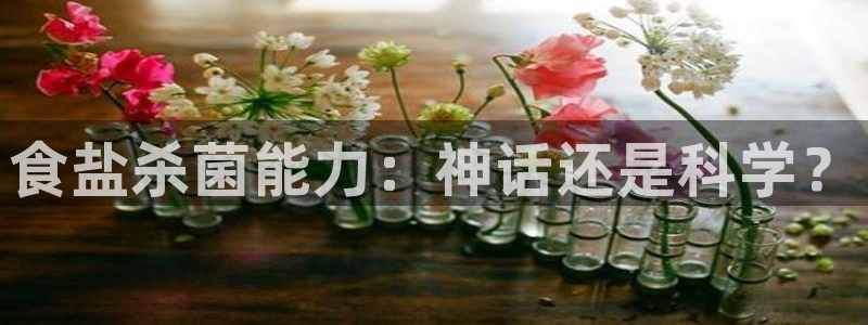 威九国际清砖码头在哪