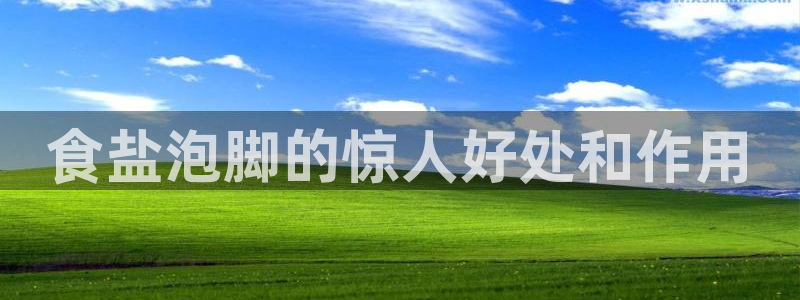 威九国际精彩推荐