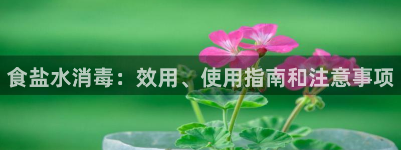 威九国际客服电话号码是多少