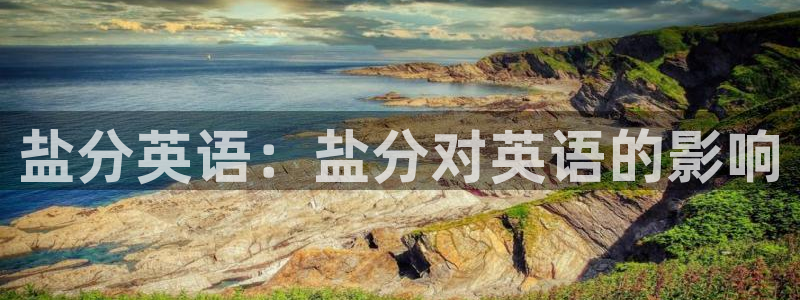 威九国际官方网站