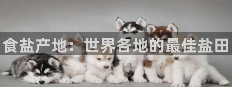 威九国际客服电话是多少