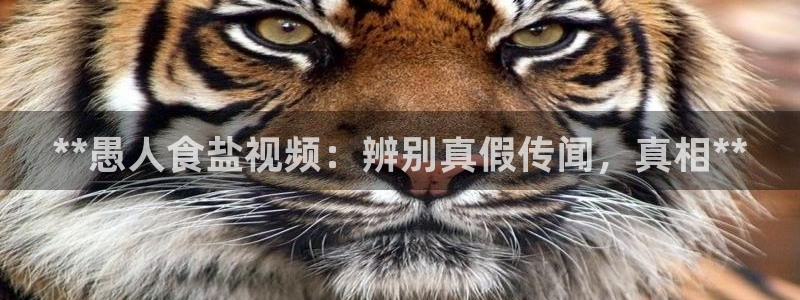 威九国际在哪里