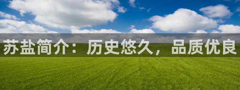 保定威九网络科技有限公司电话