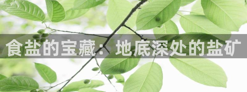 威九国际78mob官网版