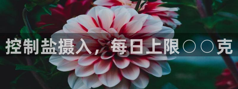 威九国际app大全下载安装