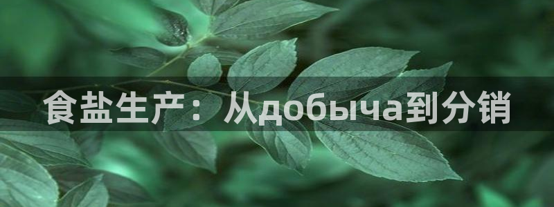 威九国际网站人入口