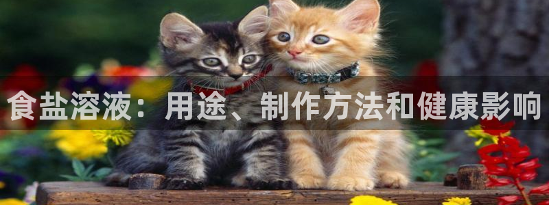 威九国际可以提现吗