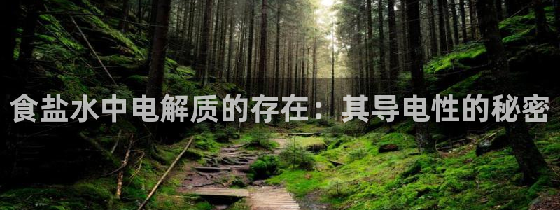 威九国际网站入口官网首页