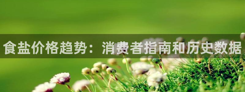 威九国际旗下艺人有谁