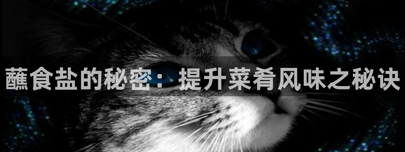 威九国际人民网招聘