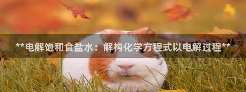 威九国际网站客服电话多少号