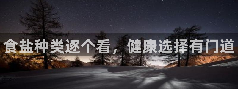 威九国际ppt官网