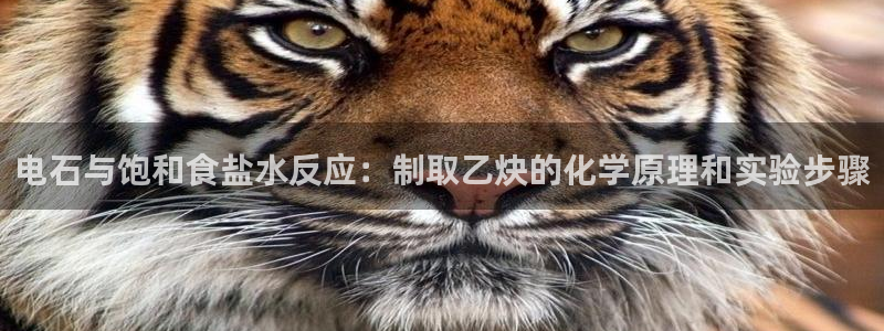 威九国际app入口在哪