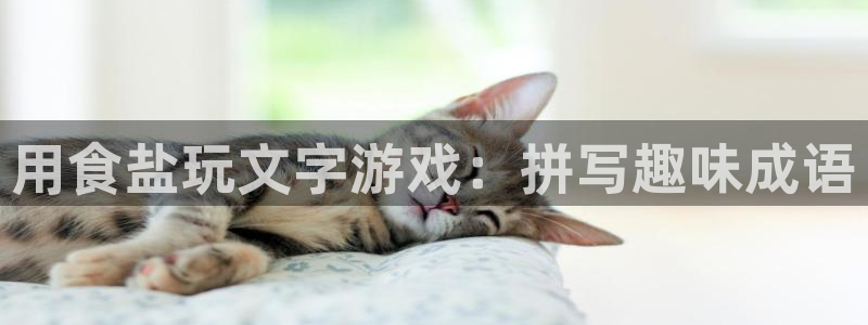 威九国际网站怎么样知乎