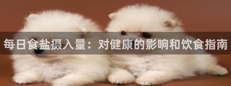 保定威九网络科技有限公司电话