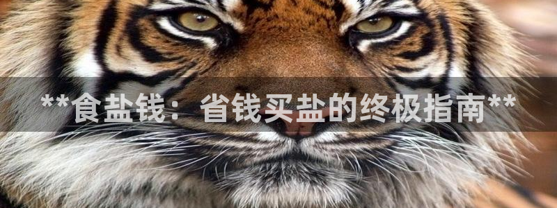 威九国际78mob游戏亮点