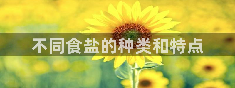 威九国际网站游戏