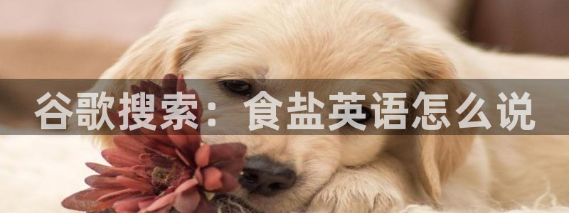 威九国际瘫痪丈夫眼见证