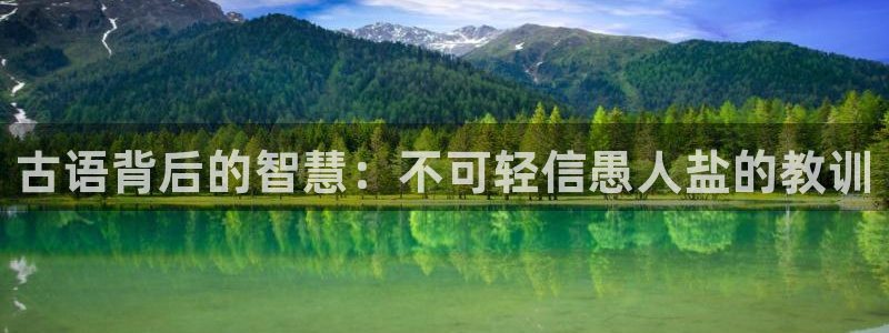 威九国际官方入口官网