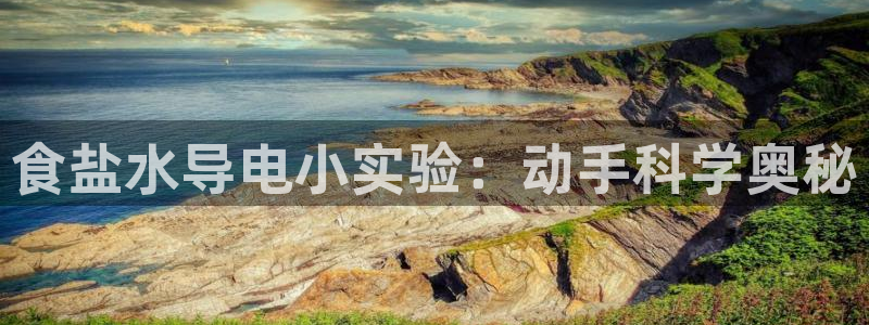 威九国际空降服务怎么样