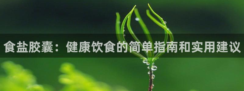 威九国际78m78下载