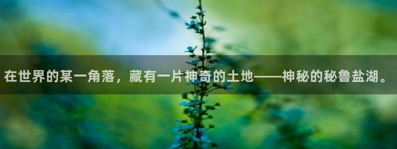 威九国际网站人入口