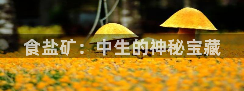 威九国际78m78下载