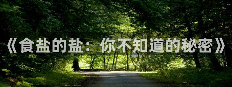 威九国际ppt官网