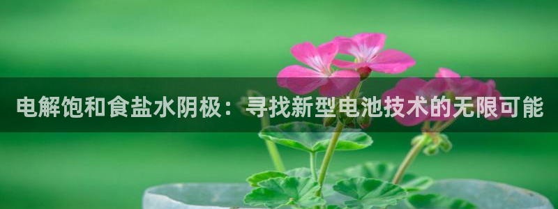 威九国际v96 bet会黑吗