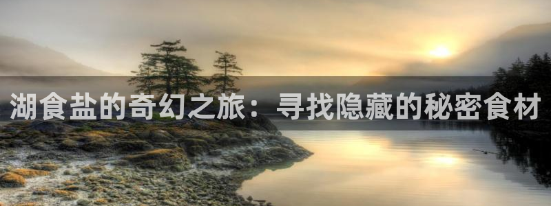 威九国际旗下艺人都有谁