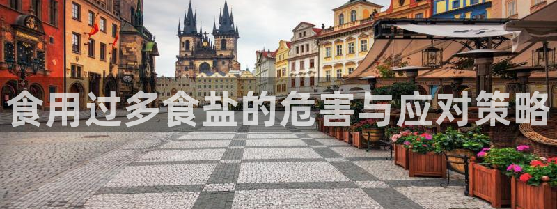 威九国际演员表