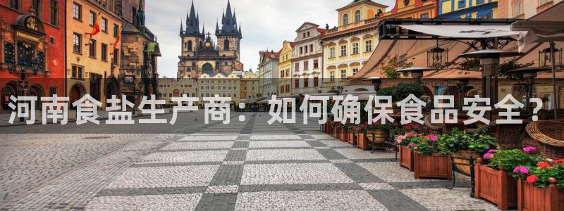 威九国际网站客服电话多少号码