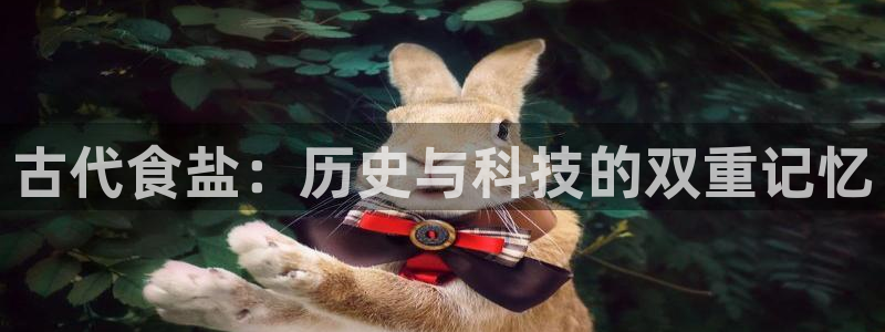 威九国际精彩视频2022年
