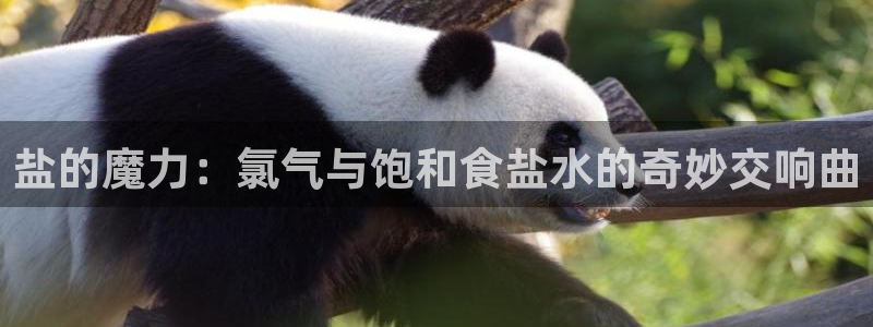 威九国际的金融服务：盐的魔力：氯气与饱和食盐水的奇妙交响曲
