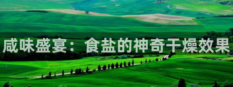 威九国际演员名单