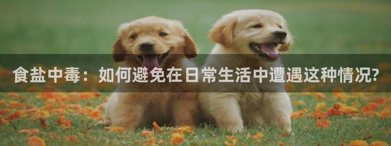 威九国际真人游戏