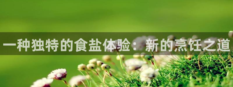 威九国际安全吗的认证团队