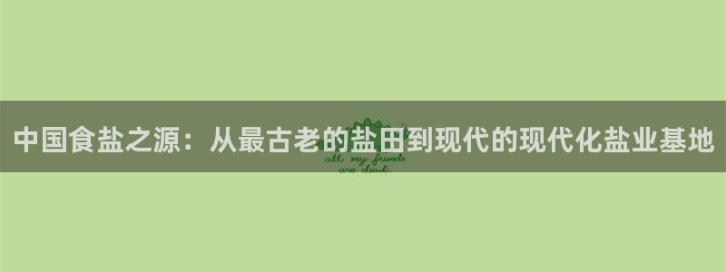 威九国际女孩