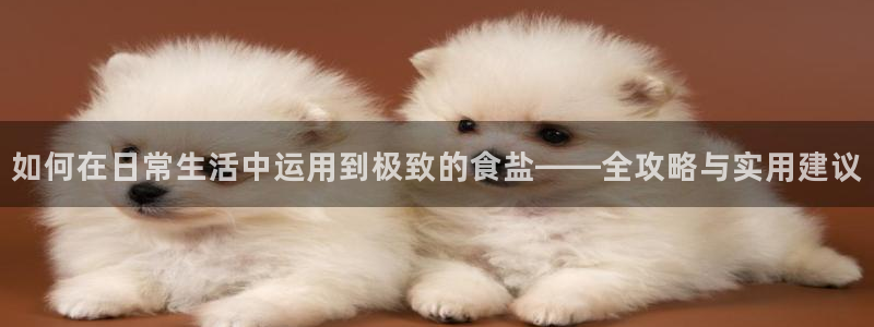 威九国际人民网招聘