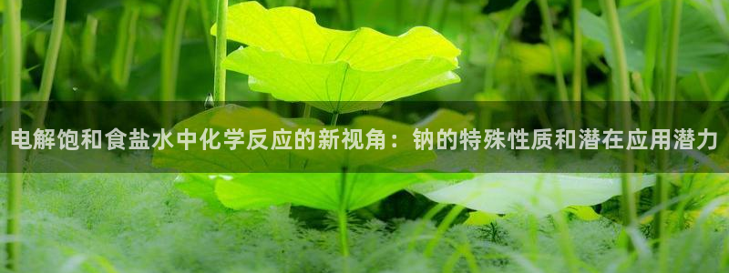 威九国际66m官网版