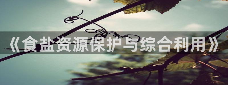 威九国际v96bet下载