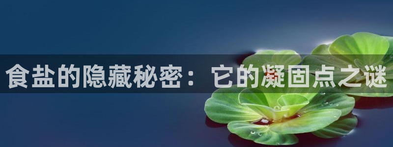 威九国际空降视频