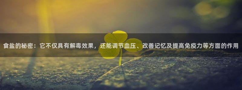 威九国际空降视频