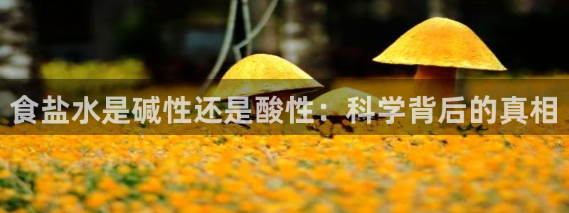 威九国际黄威尼斯