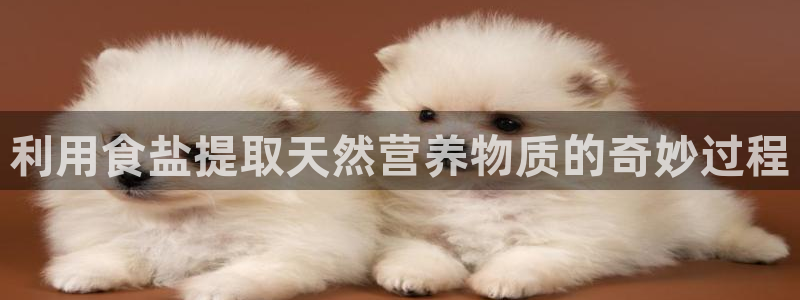 威九国际和之前