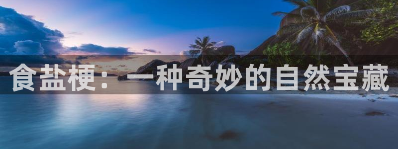 威九国际精甜心诗词网彩片甜心网甜心诗词网